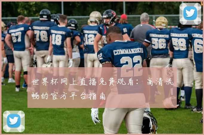 世界杯网上直播免费观看:高清流畅的官方平台指南