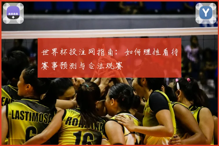 世界杯投注网指南：如何理性看待赛事预测与合法观赛