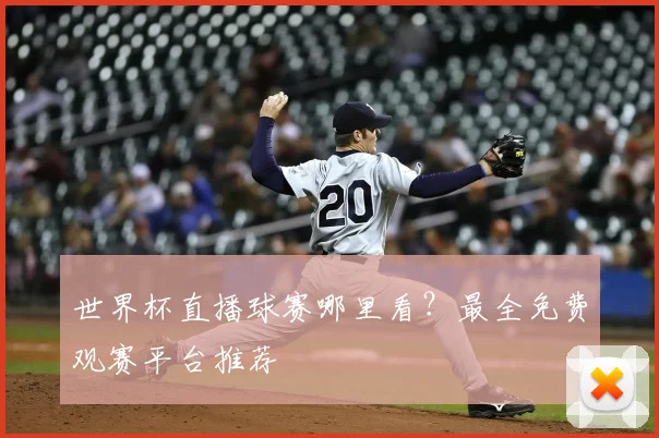 世界杯直播球赛哪里看？最全免费观赛平台推荐