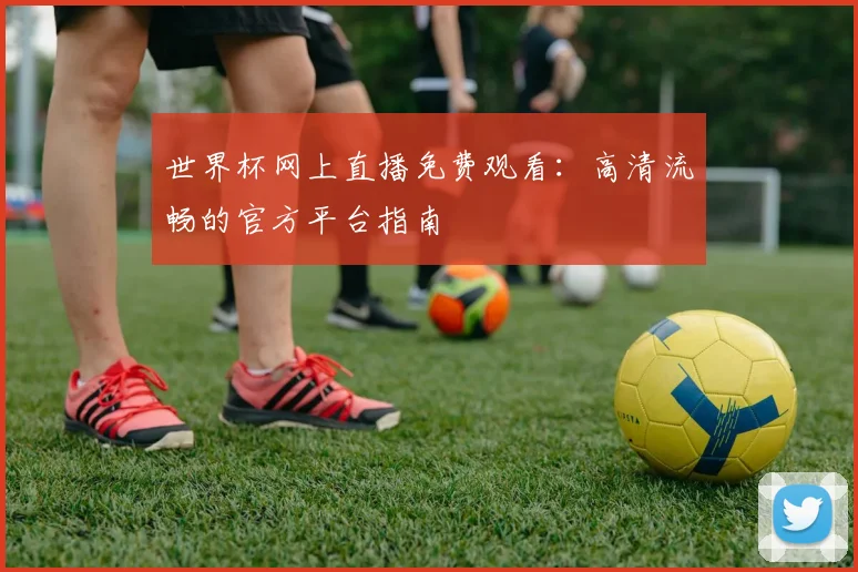 世界杯网上直播免费观看：高清流畅的官方平台指南