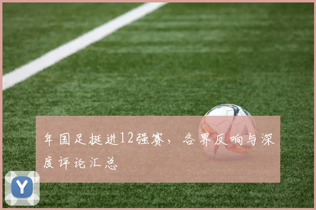 年国足挺进12强赛,各界反响与深度评论汇总